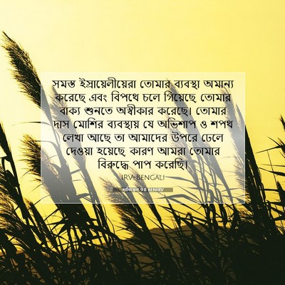 Picture 07 - দানিয়েল 9:11 BENIRV - সমস্ত - Bible Verse Picture