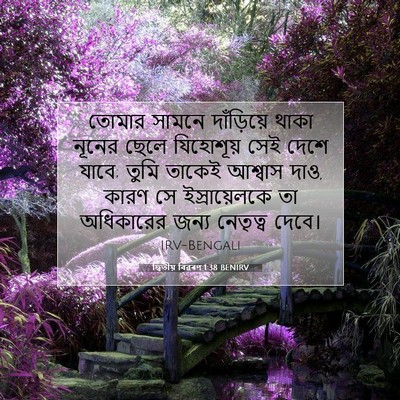 Picture 07 - দ্বিতীয় বিৱৰণ 1:38 BENIRV - তোমার সামনে - Bible Verse Picture