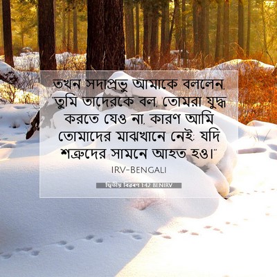 Picture 07 - দ্বিতীয় বিৱৰণ 1:42 BENIRV - তখন সদাপ্রভু - Bible Verse Picture