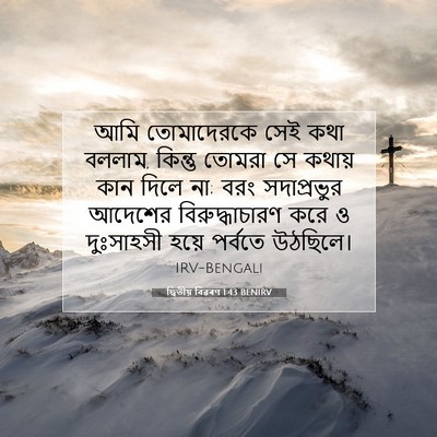 Picture 07 - দ্বিতীয় বিৱৰণ 1:43 BENIRV - আমি তোমাদেরকে সেই - Bible Verse Picture