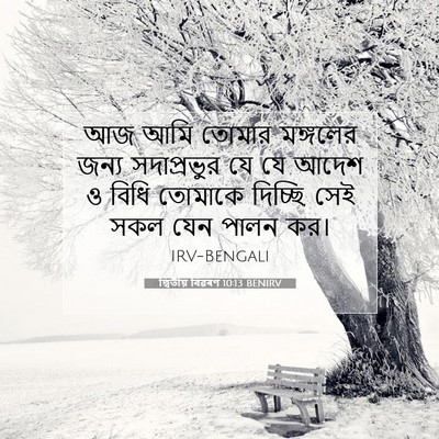 Picture 07 - দ্বিতীয় বিৱৰণ 10:13 BENIRV - আজ আমি তোমার - Bible Verse Picture