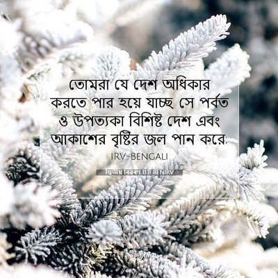 Picture 07 - দ্বিতীয় বিৱৰণ 11:11 BENIRV - তোমরা যে দেশ - Bible Verse Picture