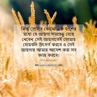 Picture 07 - দ্বিতীয় বিৱৰণ 12:14 BENIRV - কিন্তু তোমার কোনো - Bible Verse Picture