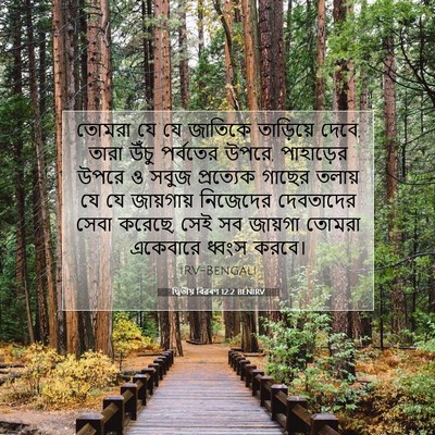 Picture 07 - দ্বিতীয় বিৱৰণ 12:2 BENIRV - তোমরা যে যে জাতিকে - Bible Verse Picture