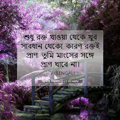 Picture 07 - দ্বিতীয় বিৱৰণ 12:23 BENIRV - শুধু রক্ত খাওয়া - Bible Verse Picture