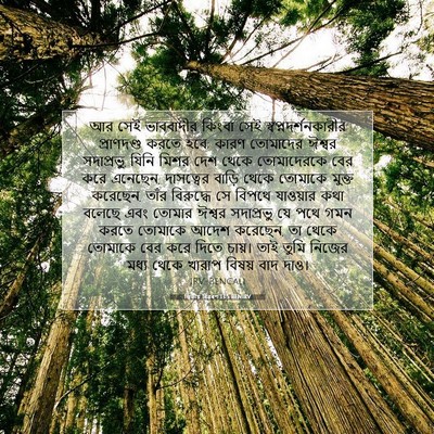 Picture 07 - দ্বিতীয় বিৱৰণ 13:5 BENIRV - আর সেই ভাববাদীর - Bible Verse Picture