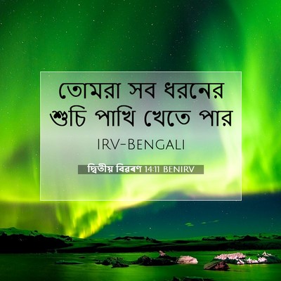 Picture 07 - দ্বিতীয় বিৱৰণ 14:11 BENIRV - তোমরা সব ধরনের - Bible Verse Picture