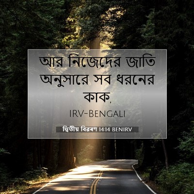 Picture 07 - দ্বিতীয় বিৱৰণ 14:14 BENIRV - আর নিজেদের জাতি - Bible Verse Picture