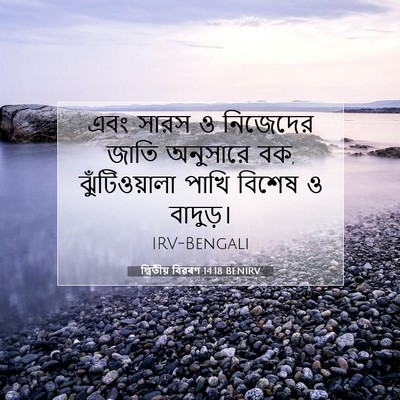 Picture 07 - দ্বিতীয় বিৱৰণ 14:18 BENIRV - এবং সারস ও নিজেদের - Bible Verse Picture