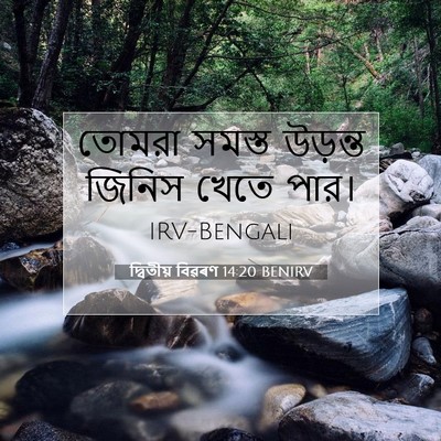 Picture 07 - দ্বিতীয় বিৱৰণ 14:20 BENIRV - তোমরা সমস্ত - Bible Verse Picture