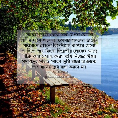 Picture 07 - দ্বিতীয় বিৱৰণ 14:21 BENIRV - তোমরা নিজে থেকে - Bible Verse Picture