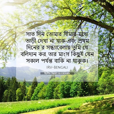 Picture 07 - দ্বিতীয় বিৱৰণ 16:4 BENIRV - সাত দিন তোমার - Bible Verse Picture
