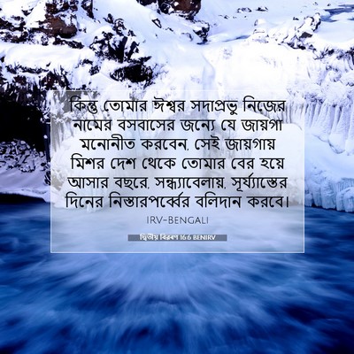 Picture 07 - দ্বিতীয় বিৱৰণ 16:6 BENIRV - কিন্তু তোমার - Bible Verse Picture