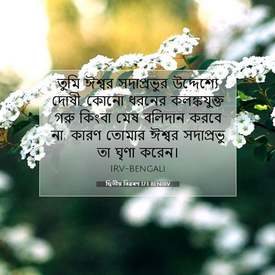 Picture 07 - দ্বিতীয় বিৱৰণ 17:1 BENIRV - তুমি ঈশ্বর - Bible Verse Picture