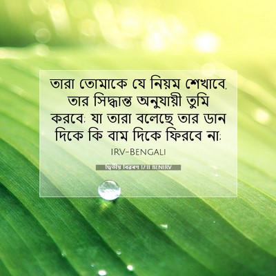 Picture 07 - দ্বিতীয় বিৱৰণ 17:11 BENIRV - তারা তোমাকে যে - Bible Verse Picture