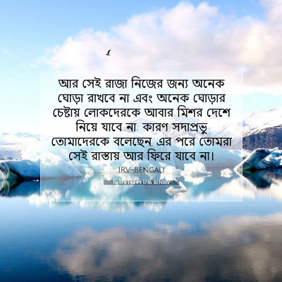 Picture 07 - দ্বিতীয় বিৱৰণ 17:16 BENIRV - আর সেই রাজা নিজের - Bible Verse Picture