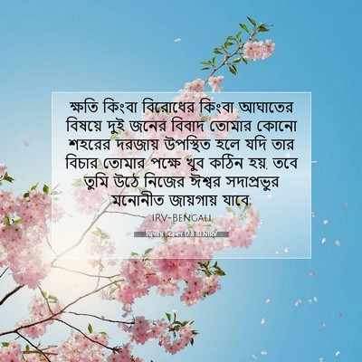 Picture 07 - দ্বিতীয় বিৱৰণ 17:8 BENIRV - ক্ষতি কিংবা - Bible Verse Picture