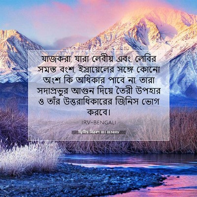 Picture 07 - দ্বিতীয় বিৱৰণ 18:1 BENIRV - যাজকরা, যারা - Bible Verse Picture