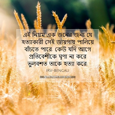 Picture 07 - দ্বিতীয় বিৱৰণ 19:4 BENIRV - এই নিয়ম এক জনের - Bible Verse Picture