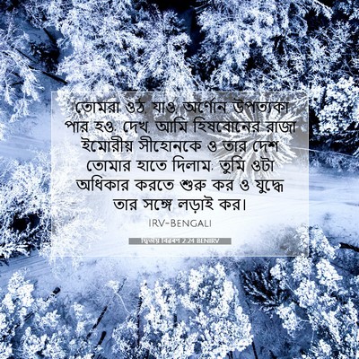 Picture 07 - দ্বিতীয় বিৱৰণ 2:24 BENIRV - “তোমরা ওঠ, যাও, - Bible Verse Picture