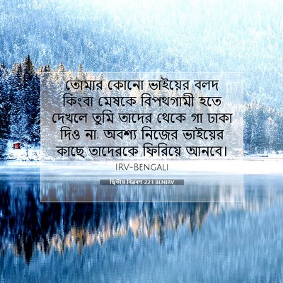 Picture 07 - দ্বিতীয় বিৱৰণ 22:1 BENIRV - তোমার কোনো - Bible Verse Picture