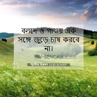 Picture 07 - দ্বিতীয় বিৱৰণ 22:10 BENIRV - বলদে ও গাধায় এক - Bible Verse Picture