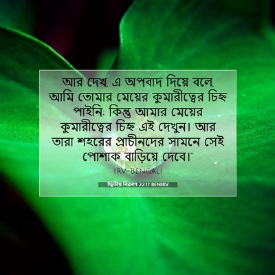 Picture 07 - দ্বিতীয় বিৱৰণ 22:17 BENIRV - আর দেখ, এ অপবাদ - Bible Verse Picture