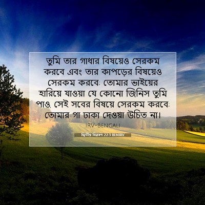 Picture 07 - দ্বিতীয় বিৱৰণ 22:3 BENIRV - তুমি তার গাধার - Bible Verse Picture