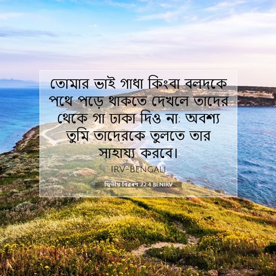 Picture 07 - দ্বিতীয় বিৱৰণ 22:4 BENIRV - তোমার ভাই গাধা - Bible Verse Picture