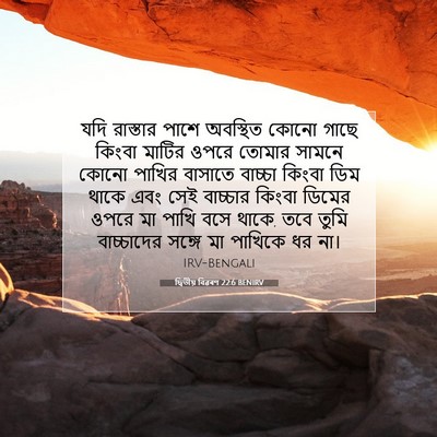Picture 07 - দ্বিতীয় বিৱৰণ 22:6 BENIRV - যদি রাস্তার পাশে - Bible Verse Picture