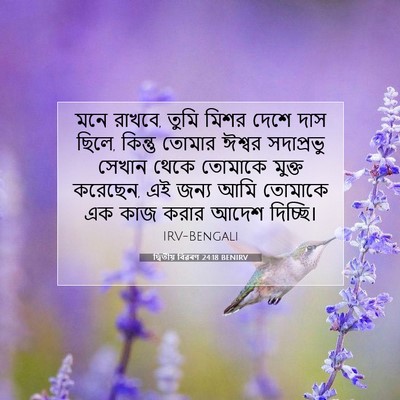 Picture 07 - দ্বিতীয় বিৱৰণ 24:18 BENIRV - মনে রাখবে, তুমি - Bible Verse Picture