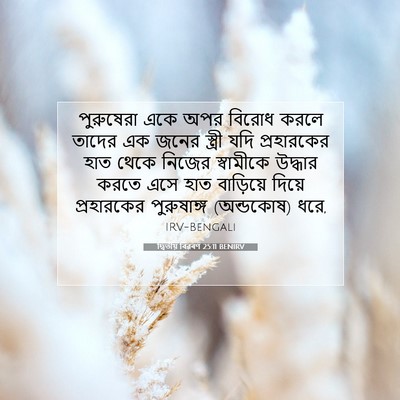 Picture 07 - দ্বিতীয় বিৱৰণ 25:11 BENIRV - পুরুষেরা একে অপর - Bible Verse Picture