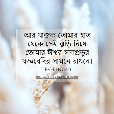 Picture 07 - দ্বিতীয় বিৱৰণ 26:4 BENIRV - আর যাজক তোমার হাত - Bible Verse Picture