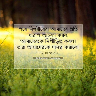 Picture 07 - দ্বিতীয় বিৱৰণ 26:6 BENIRV - পরে মিশরীয়েরা - Bible Verse Picture
