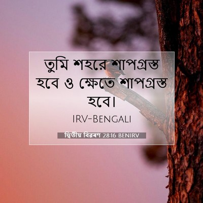 Picture 07 - দ্বিতীয় বিৱৰণ 28:16 BENIRV - তুমি শহরে - Bible Verse Picture