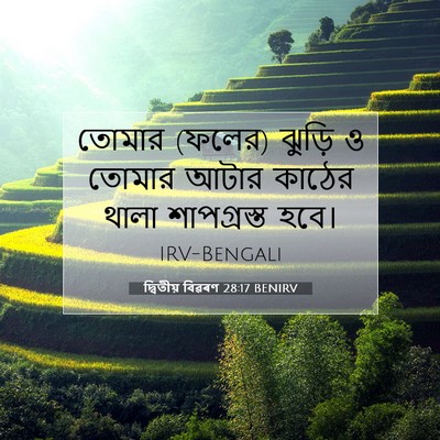 Picture 07 - দ্বিতীয় বিৱৰণ 28:17 BENIRV - তোমার (ফলের) ঝুড়ি - Bible Verse Picture
