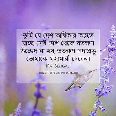 Picture 07 - দ্বিতীয় বিৱৰণ 28:21 BENIRV - তুমি যে দেশ অধিকার - Bible Verse Picture