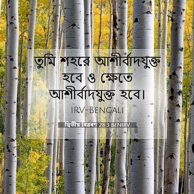 Picture 07 - দ্বিতীয় বিৱৰণ 28:3 BENIRV - তুমি শহরে - Bible Verse Picture