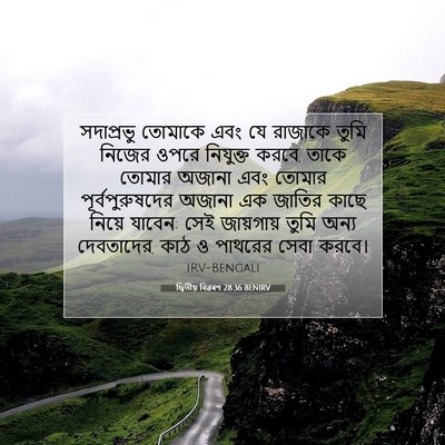 Picture 07 - দ্বিতীয় বিৱৰণ 28:36 BENIRV - সদাপ্রভু তোমাকে - Bible Verse Picture