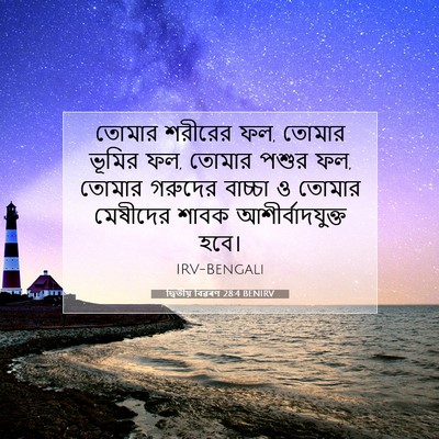 Picture 07 - দ্বিতীয় বিৱৰণ 28:4 BENIRV - তোমার শরীরের ফল, - Bible Verse Picture