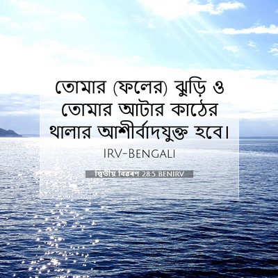 Picture 07 - দ্বিতীয় বিৱৰণ 28:5 BENIRV - তোমার (ফলের) ঝুড়ি - Bible Verse Picture