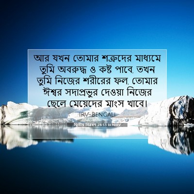 Picture 07 - দ্বিতীয় বিৱৰণ 28:53 BENIRV - আর যখন তোমার - Bible Verse Picture