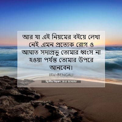 Picture 07 - দ্বিতীয় বিৱৰণ 28:61 BENIRV - আর যা এই নিয়মের - Bible Verse Picture
