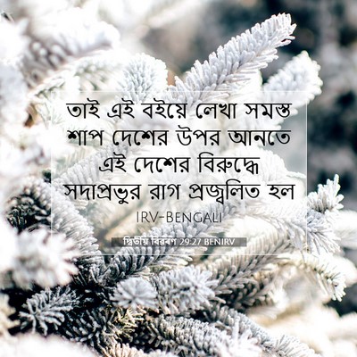 Picture 07 - দ্বিতীয় বিৱৰণ 29:27 BENIRV - তাই এই বইয়ে লেখা - Bible Verse Picture