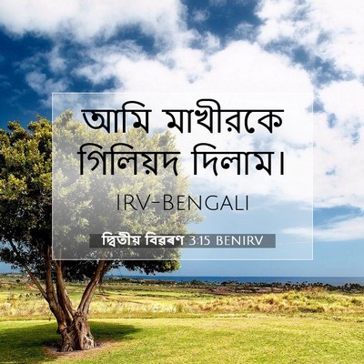 Picture 07 - দ্বিতীয় বিৱৰণ 3:15 BENIRV - আমি মাখীরকে - Bible Verse Picture