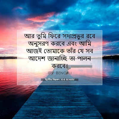 Picture 07 - দ্বিতীয় বিৱৰণ 30:8 BENIRV - আর তুমি ফিরে - Bible Verse Picture