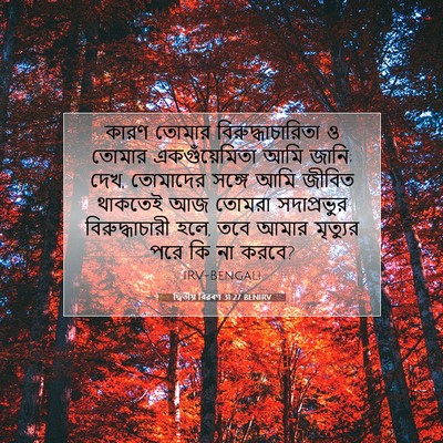 Picture 07 - দ্বিতীয় বিৱৰণ 31:27 BENIRV - কারণ তোমার - Bible Verse Picture