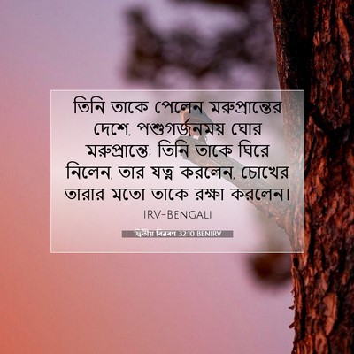 Picture 07 - দ্বিতীয় বিৱৰণ 32:10 BENIRV - তিনি তাকে পেলেন - Bible Verse Picture