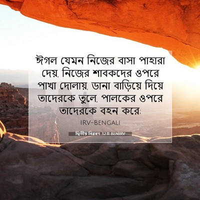 Picture 07 - দ্বিতীয় বিৱৰণ 32:11 BENIRV - ঈগল যেমন নিজের - Bible Verse Picture