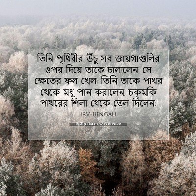 Picture 07 - দ্বিতীয় বিৱৰণ 32:13 BENIRV - তিনি পৃথিবীর উঁচু - Bible Verse Picture